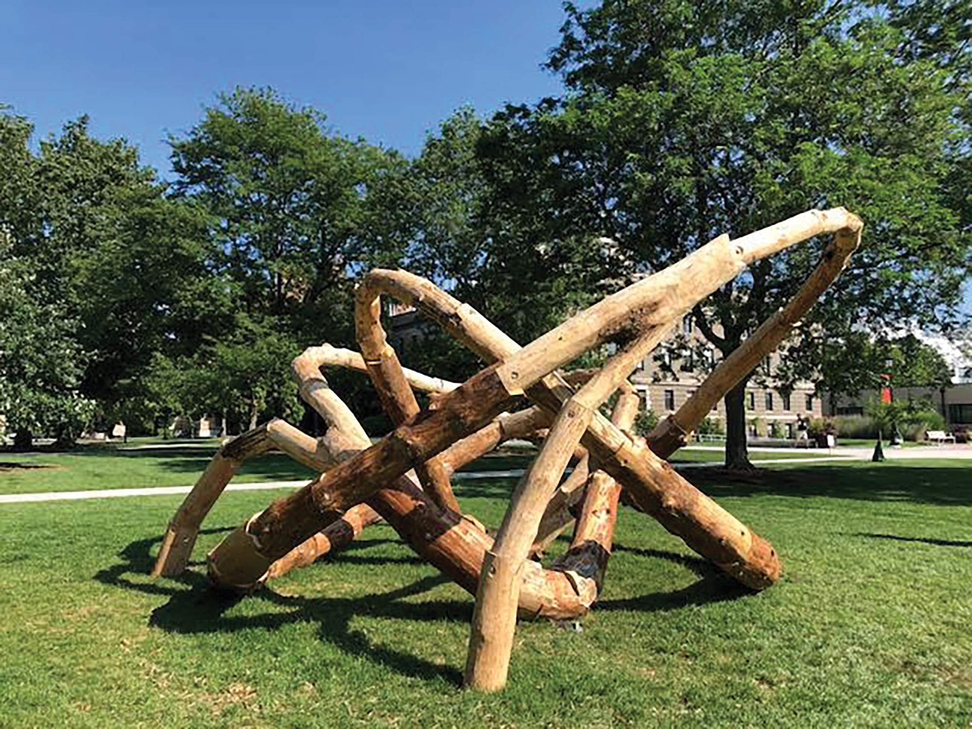 The LOG KNOT installation is composed of irregularly-shaped logs connected in a twisting design. BreAnne Fleer / Sun News Editor